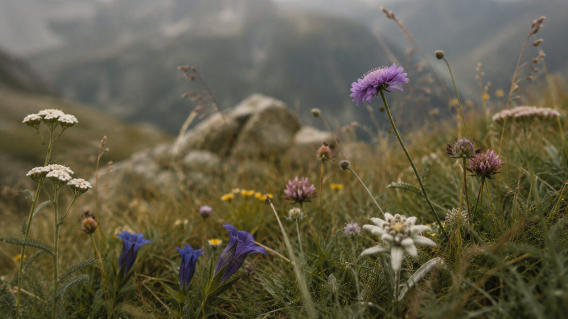La flora pirinenca