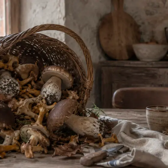Els bolets més apreciats de la gastronomia pirinenca