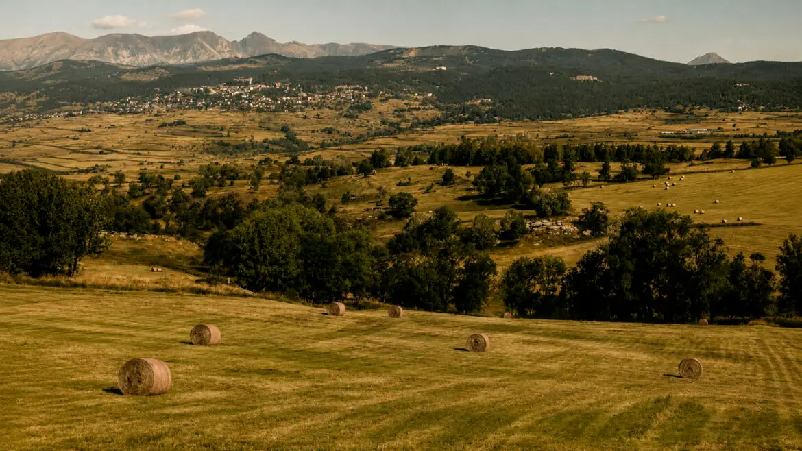 Paisatge agrícola de la Cerdanya amb camps de dall, bales de fenc, arbres i un poble al fons, amb les muntanyes del Pirineu al darrere.