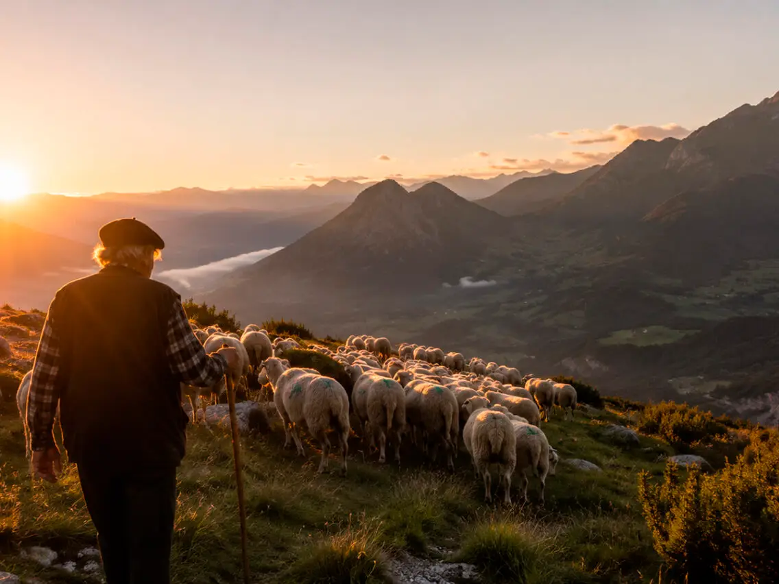 La ramaderia extensiva, un equilibri entre l’home i la natura