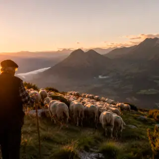L’escudella i carn d’olla, el plat de cullera que escalfa l’ànima