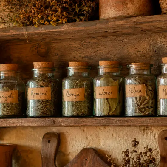 Les herbes aromàtiques dels Pirineus: els perfums discrets de la cuina de muntanya