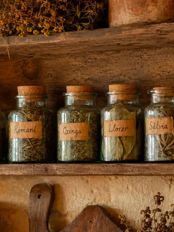 Les herbes aromàtiques dels Pirineus: els perfums discrets de la cuina de muntanya