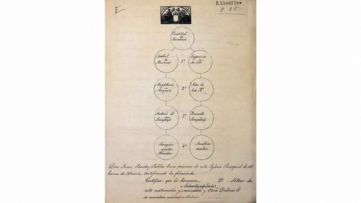 Arbre genealògic incorporat a un expedient de dispensa matrimonial per consanguinitat, elaborat a Alhama de Almería l’any 1909, amb les dues línies familiars representades generació rere generació per determinar el grau de parentiu entre els futurs esposos.