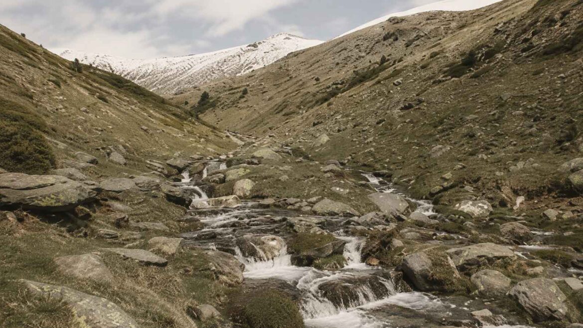 Paisatge subalpí de la Coma del Clot, a la Vall de Núria, on l’orientació dels vessants condiciona la vegetació: el ginebró (Juniperus communis) és característic de les solanes més assolellades i seques.