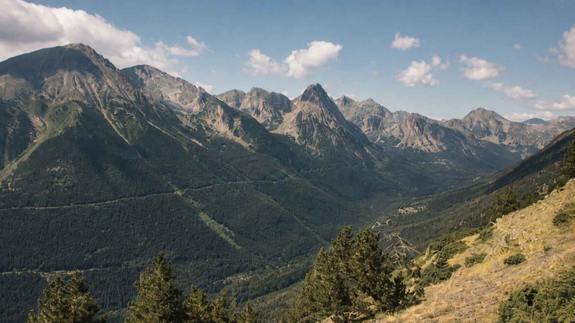 Vista panoràmica de la Vall de l’Escrita des de la Serra del Pago, a Espot, al Pallars Sobirà. La vall està envoltada de boscos i vessants d’alta muntanya, amb una alternança d’espais oberts, pastures i vegetació arbustiva.