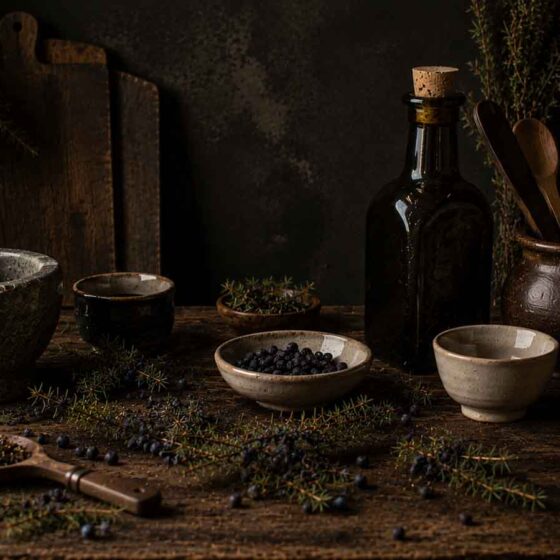 Ginebró als Pirineus: usos, remeis, creences i aromes