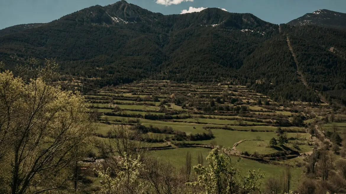 Camps en feixes als Pirineus catalans, amb prats esglaonats sobre el vessant i muntanyes cobertes de bosc al fons.