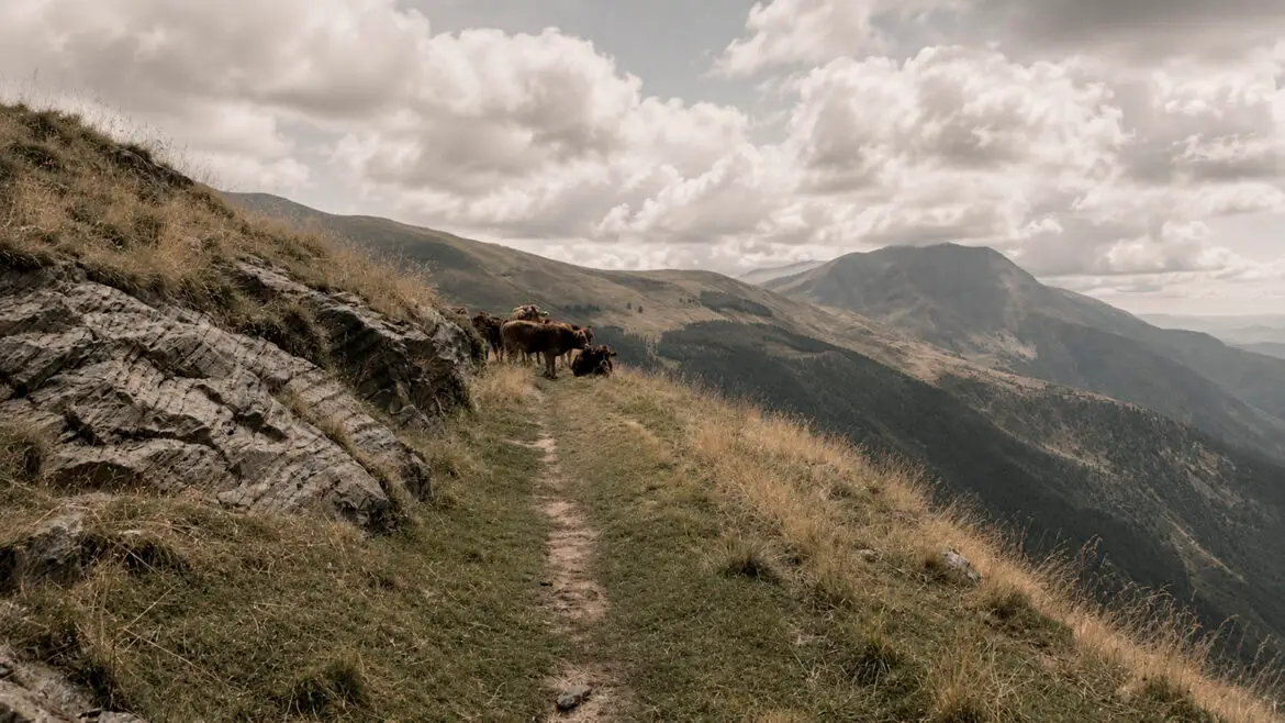 Antic Camí del Carrilet prop de l’estany Gento, a la Vall Fosca, traçat pel vessant de la muntanya entre pastures d’alta muntanya.