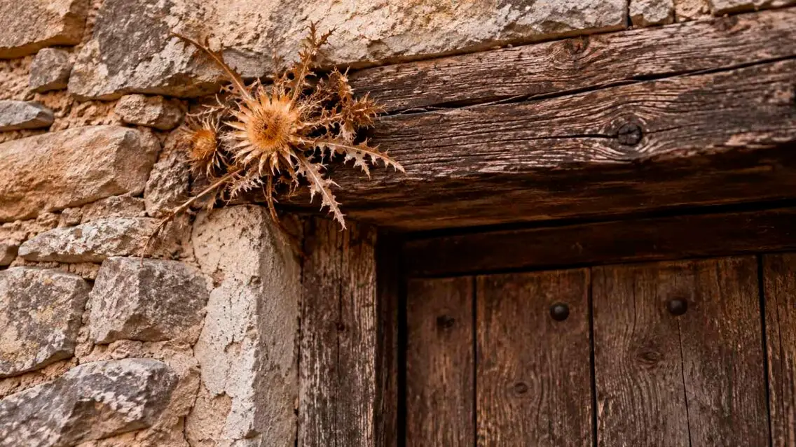 Que el mal no entri a casa: històries, creences i proteccions de la casa pirinenca