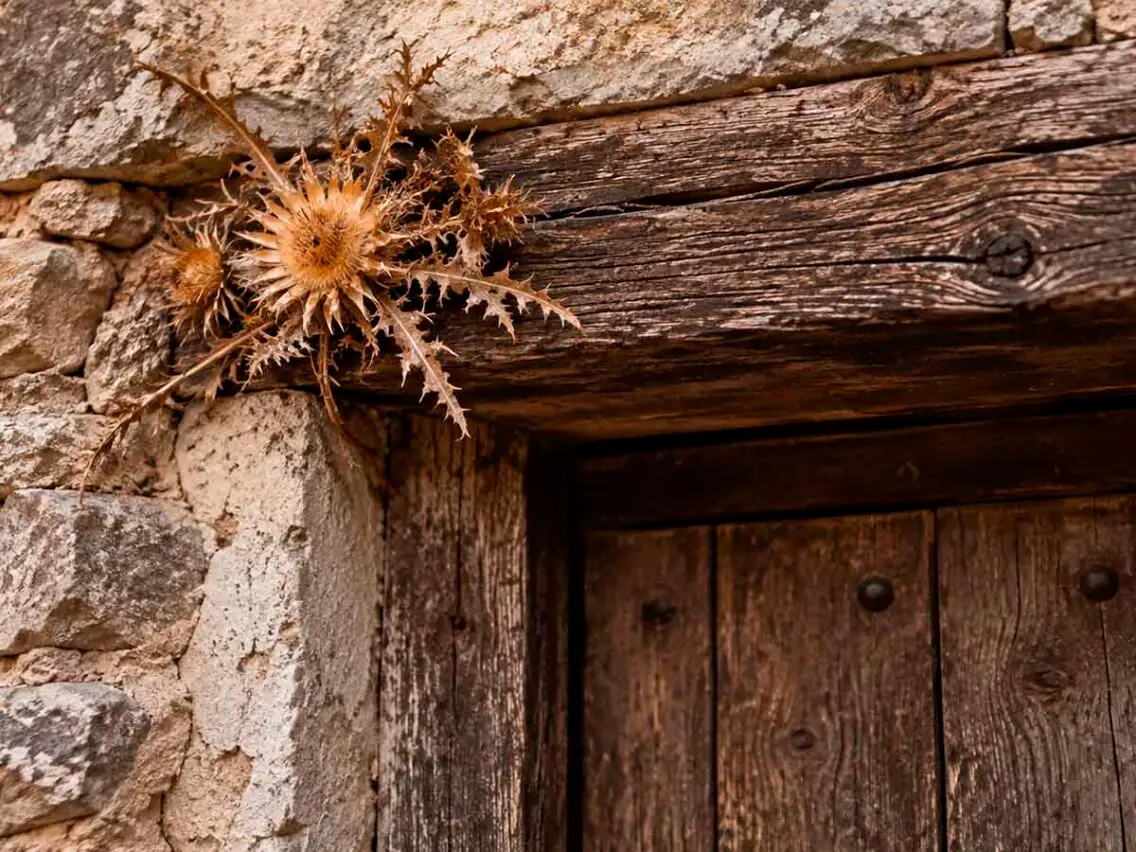 Que el mal no entri a casa: històries, creences i proteccions de la casa pirinenca