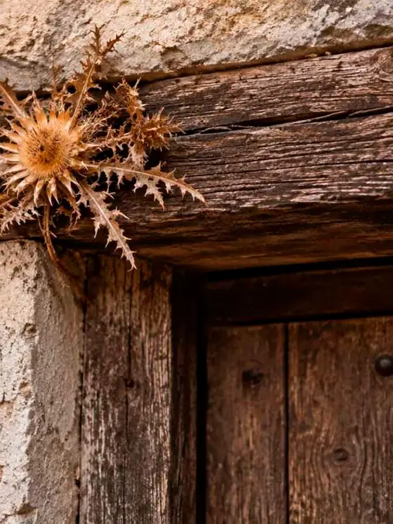 Que el mal no entri a casa: històries, creences i proteccions de la casa pirinenca